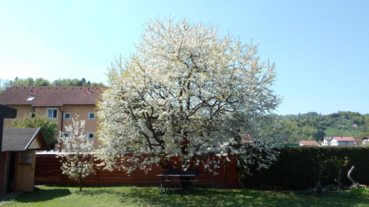 Apartma Golob Apartment Zgornja Kungota Exterior photo